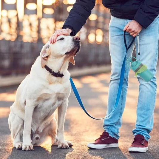 🐕 Recogedor de Heces Portátil para Perros con Bolsas.
