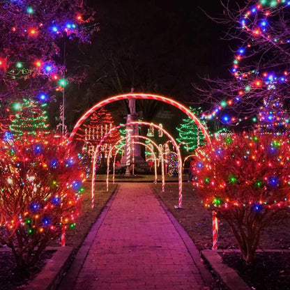 🎄 ¡Haz brillar tu Navidad con 300 LED solares multicolores y 30 m de luz! Aprovecha un 50 % OFF Black Friday ☀️